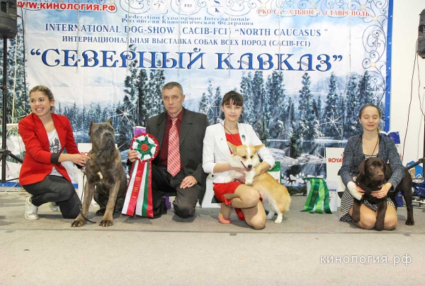 Конкурс 