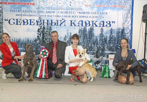 Конкурс 