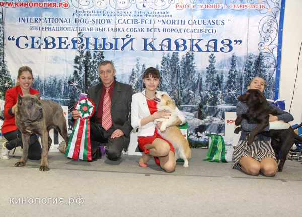 Конкурс 