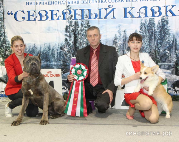 Конкурс 