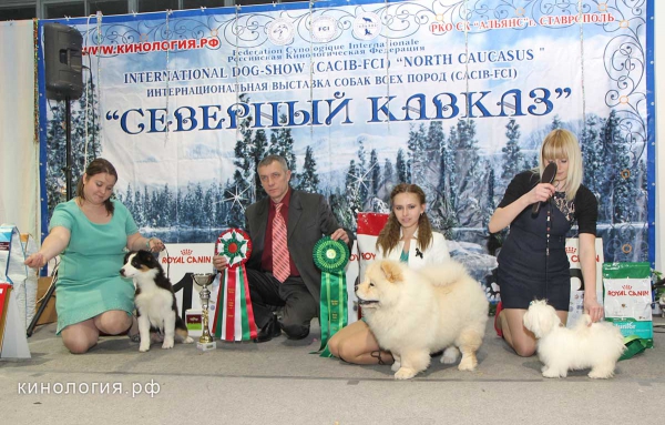 Конкурс 