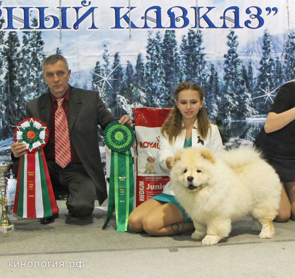 Конкурс 