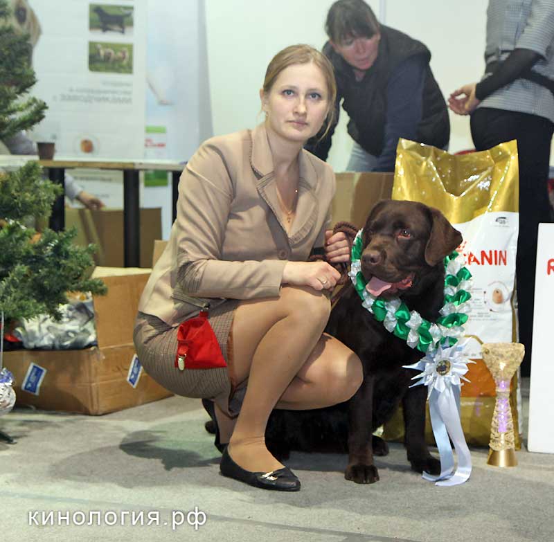 Победитель выставки_1