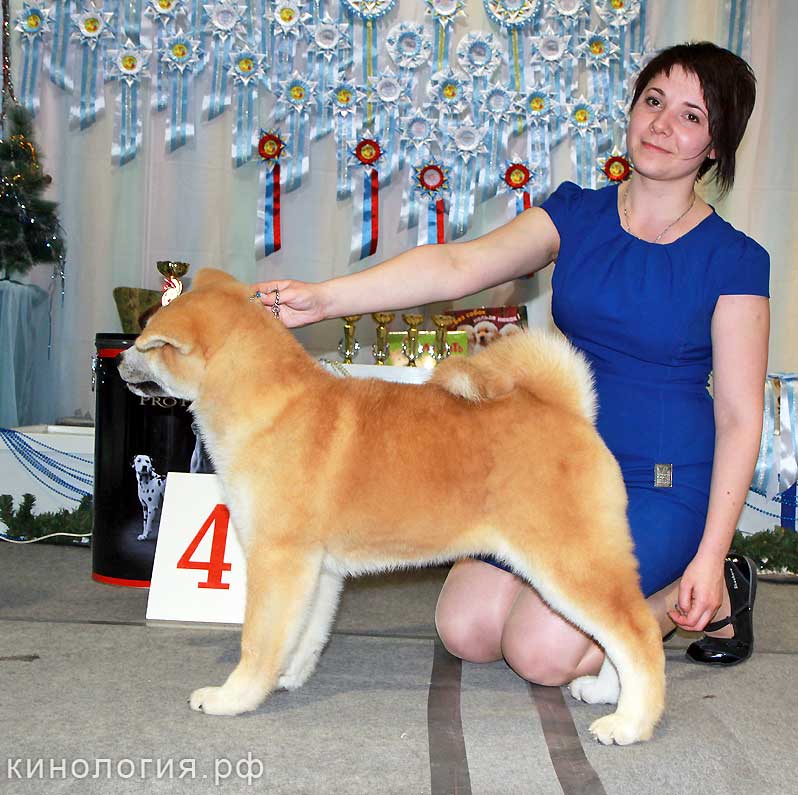 Best_4