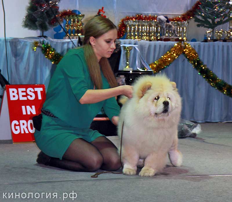 Best_8