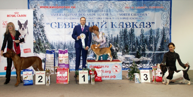 Победители 6 группы_1