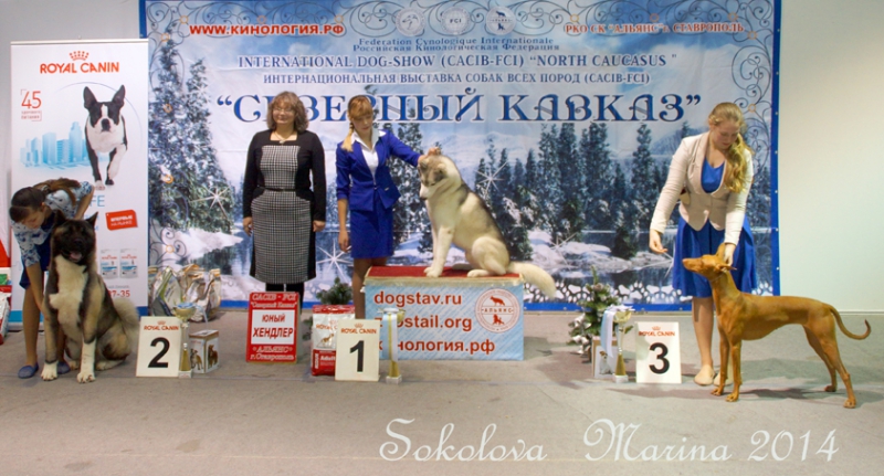 беби бэст- бэби- юный хендлер старшие_3