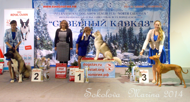 беби бэст- бэби- юный хендлер старшие_4