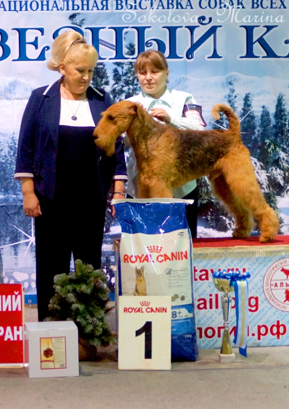  младший ЮХ, юниоры, щенки,  питомники,  гордость России, ветераны._1