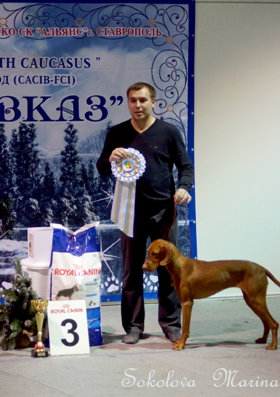 младший ЮХ, юниоры, щенки,  питомники,  гордость России, ветераны._1