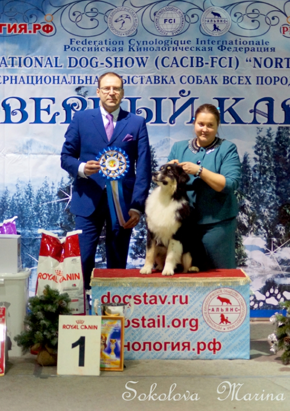  младший ЮХ, юниоры, щенки,  питомники,  гордость России, ветераны._3