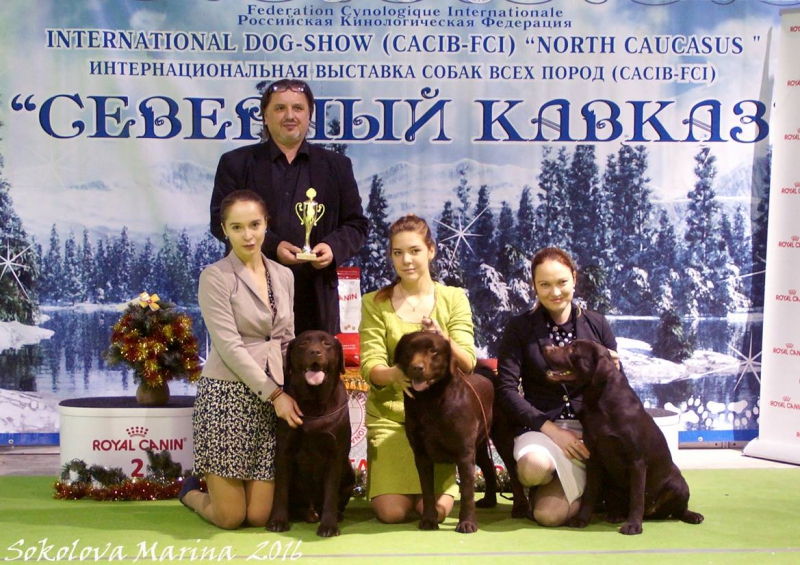 Юный хендлер_2