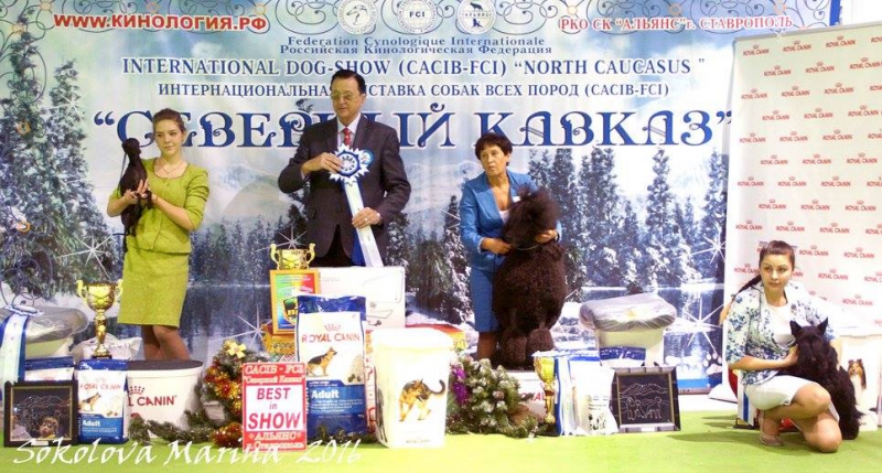 Большой бест_1