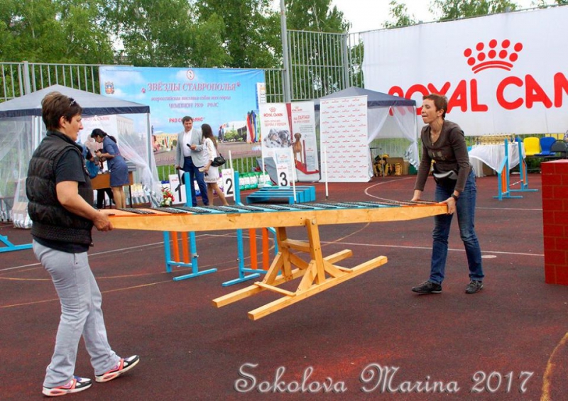 показательные выступления на выставке_1