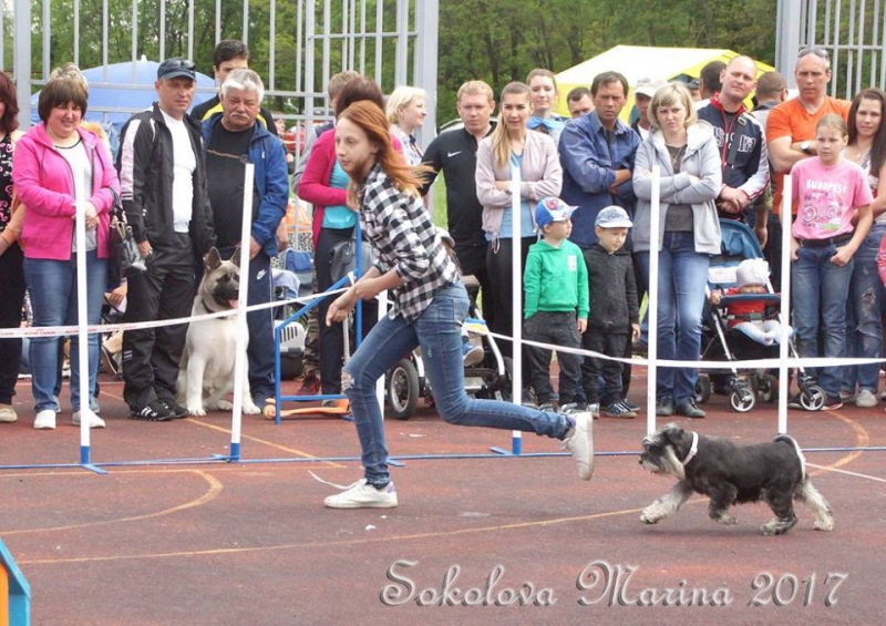 показательные выступления на выставке_9