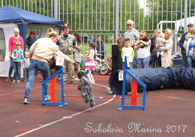 показательные выступления на выставке_6