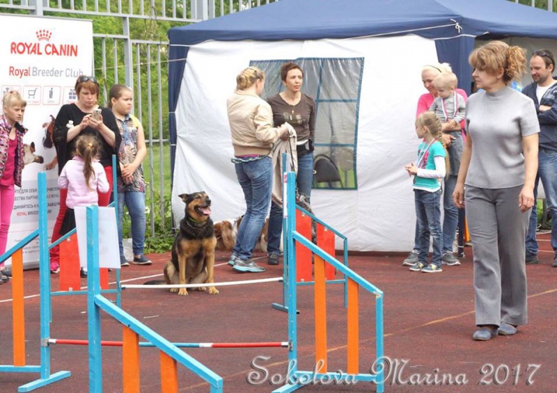 показательные выступления на выставке_2