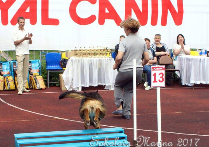 показательные выступления на выставке_7