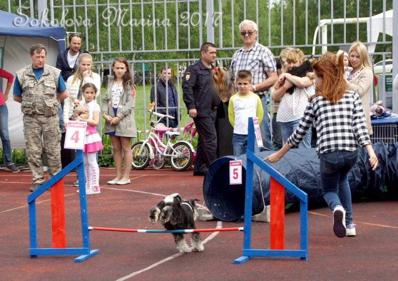 показательные выступления на выставке_2