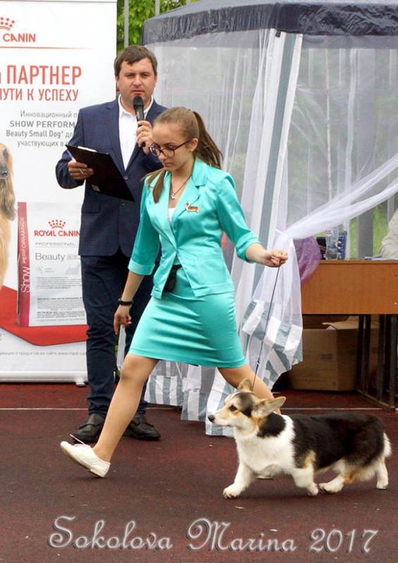 конкурс ЮНЫЙ ХЕНДЛЕР_1