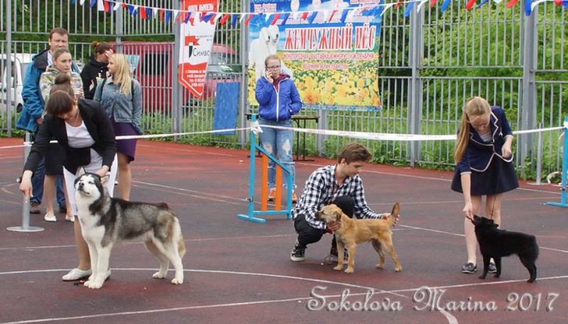 конкурс ЮНЫЙ ХЕНДЛЕР_6