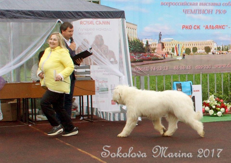 14 мая 2017_4