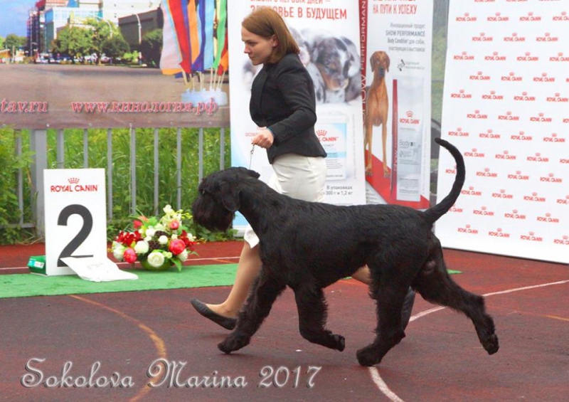 Конкурс ПИТОМНИКОВ_1