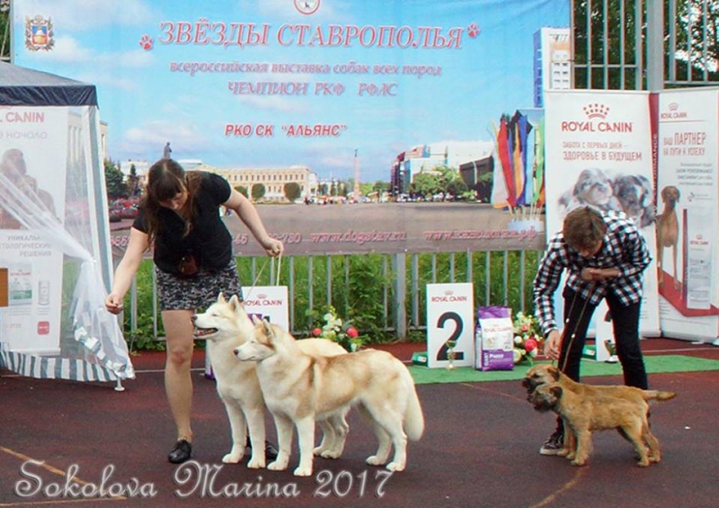 Конкурс ЛУЧШАЯ ПАРА_4