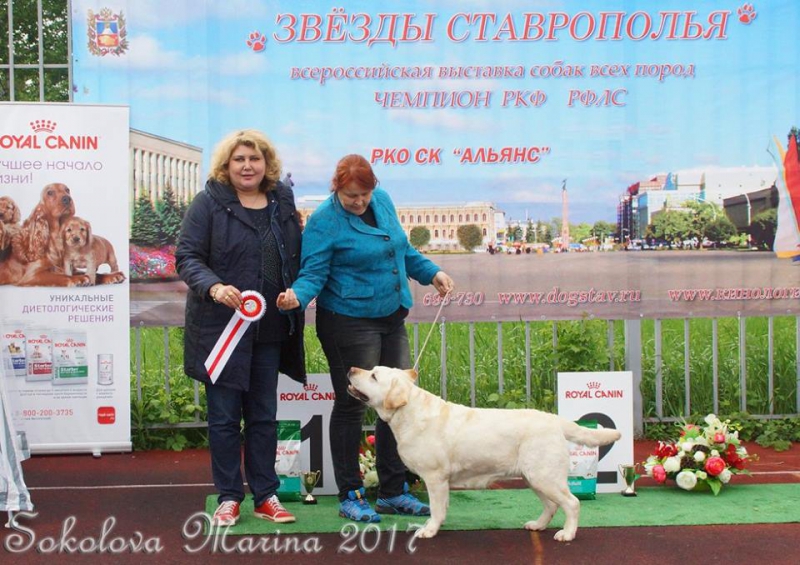 Бест 8 гр._2
