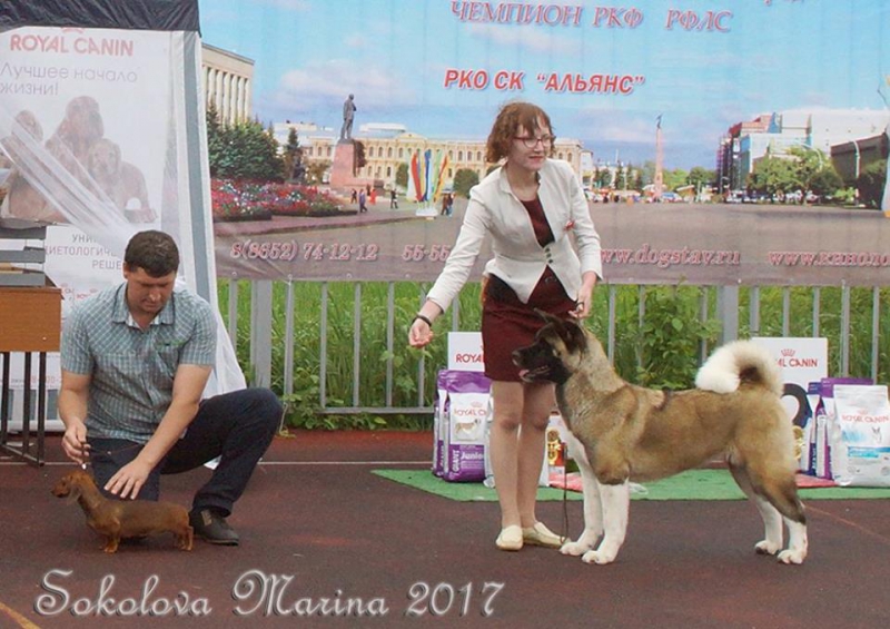БЕСТ ЮНИОРОВ _6