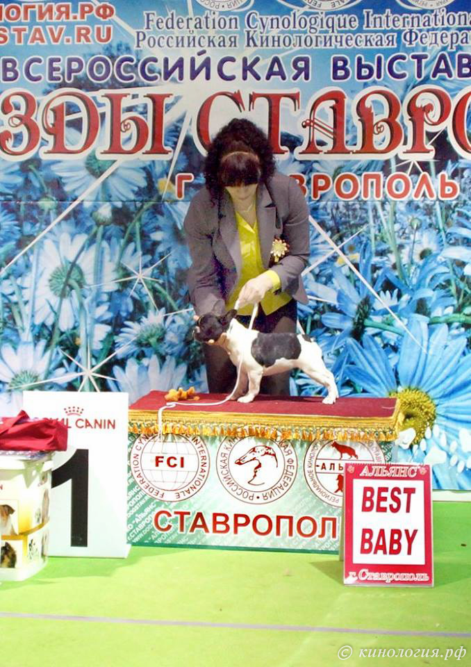 владельцы мобак со своими питомцами победителями выставки