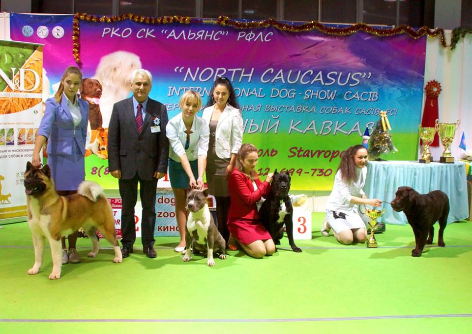 фотографии BEST CACIB в ставрополе