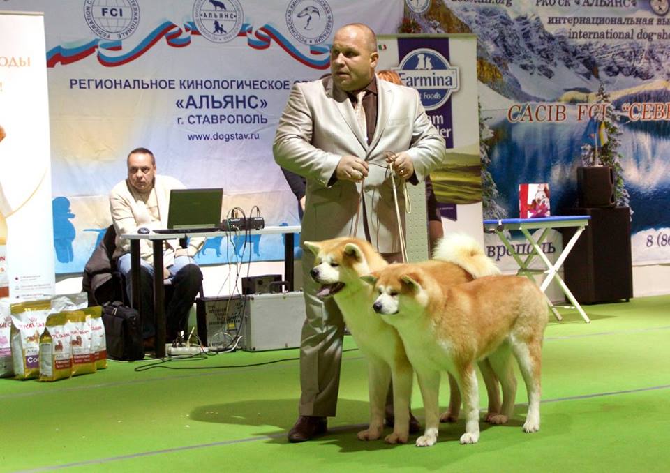 фото конкурсов выставки CACIB