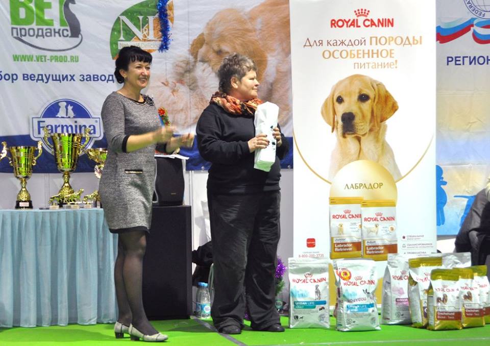 фотографии международной выставки CACIB
