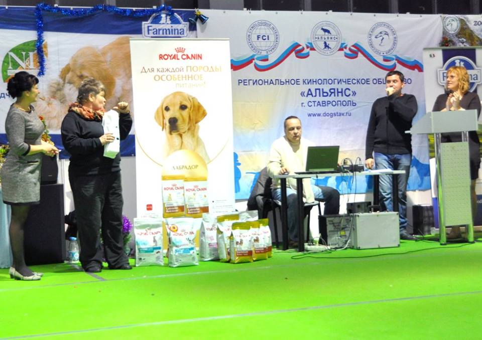 фото конкурсов выставки CACIB
