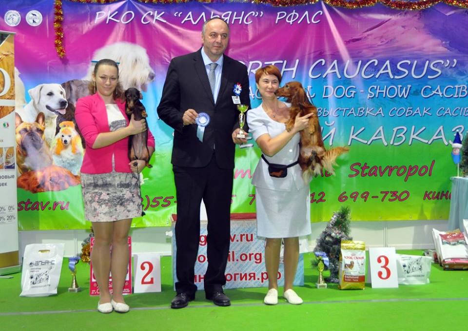 фотографии BEST CACIB в ставрополе