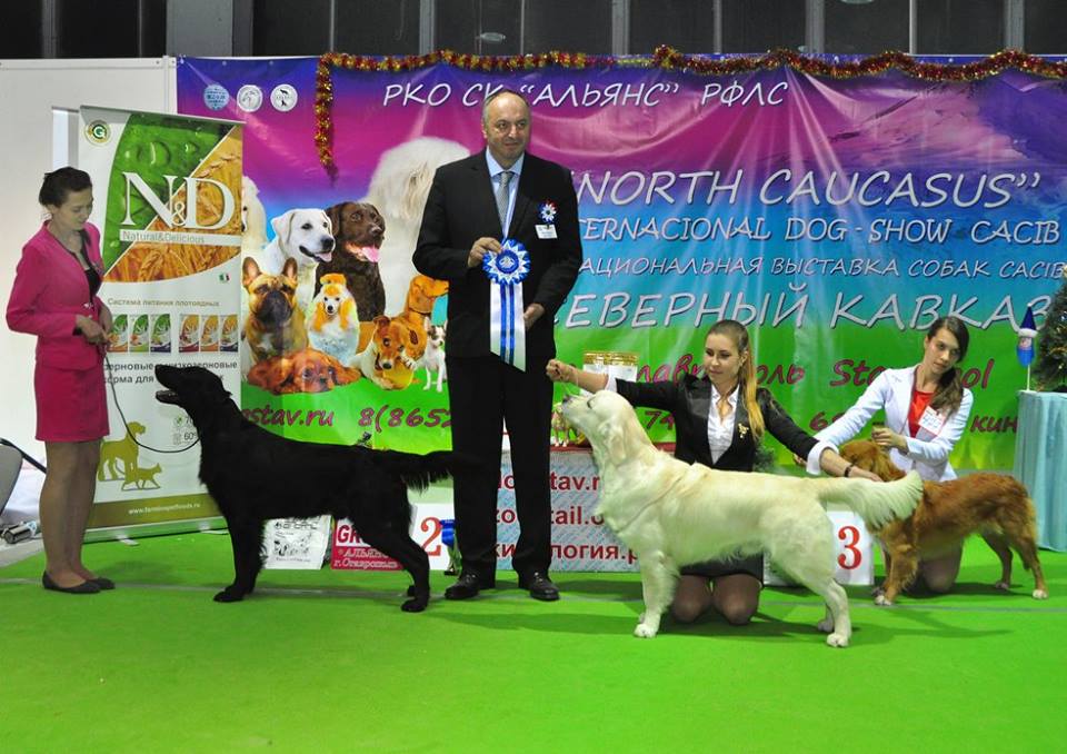 фото конкурсов выставки CACIB