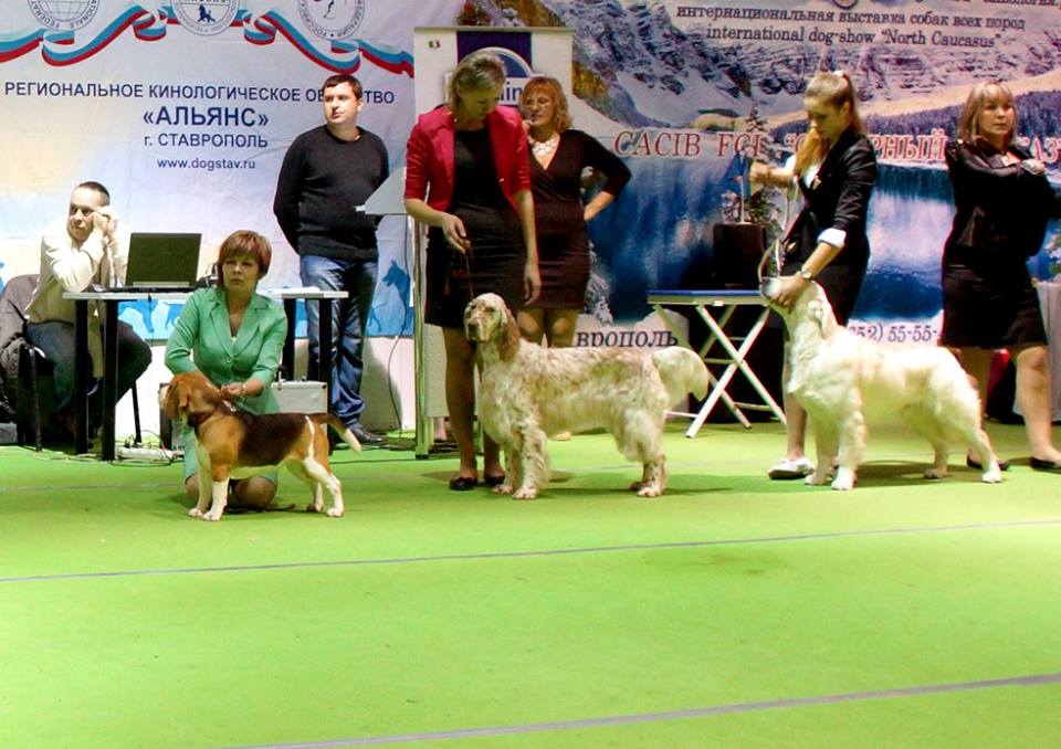фотографии международной выставки CACIB