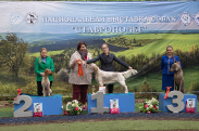 14 мая выставка САС ЧФ - 