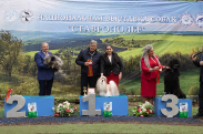 14 мая выставка САС ЧФ - 