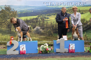14 мая выставка САС ЧФ - 
