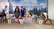 беби бэст- бэби- юный хендлер старшие_2