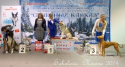 беби бэст- бэби- юный хендлер старшие_3