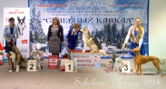 беби бэст- бэби- юный хендлер старшие_4