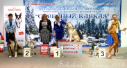 беби бэст- бэби- юный хендлер старшие_5