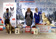 беби бэст- бэби- юный хендлер старшие_7