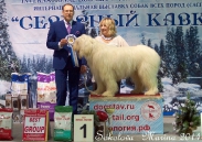 Победители 1 группы_3