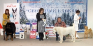 Победители 2 группы_1