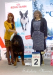 Победители 2 группы_3