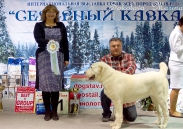 Победители 2 группы_4